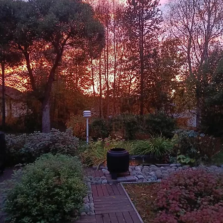 Live Like Local * Rovaniemi