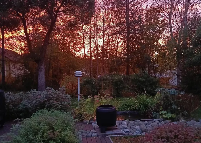 Live Like Local * Rovaniemi